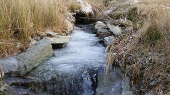 River Stream The Nature Of