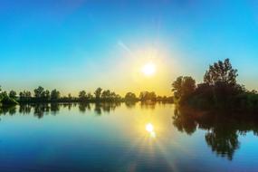 Lake Water Trees