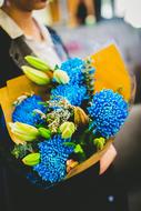 Flower Blue Colorful