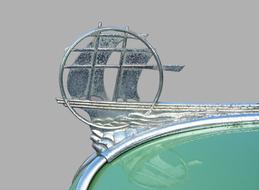 iron emblem on green water