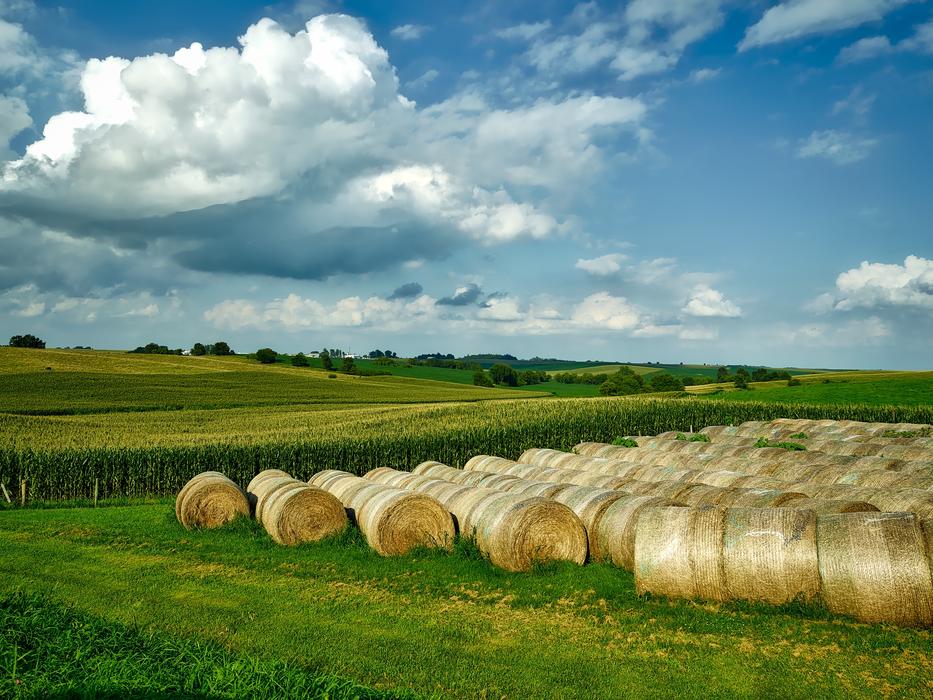 Iowa Landscape Scenic