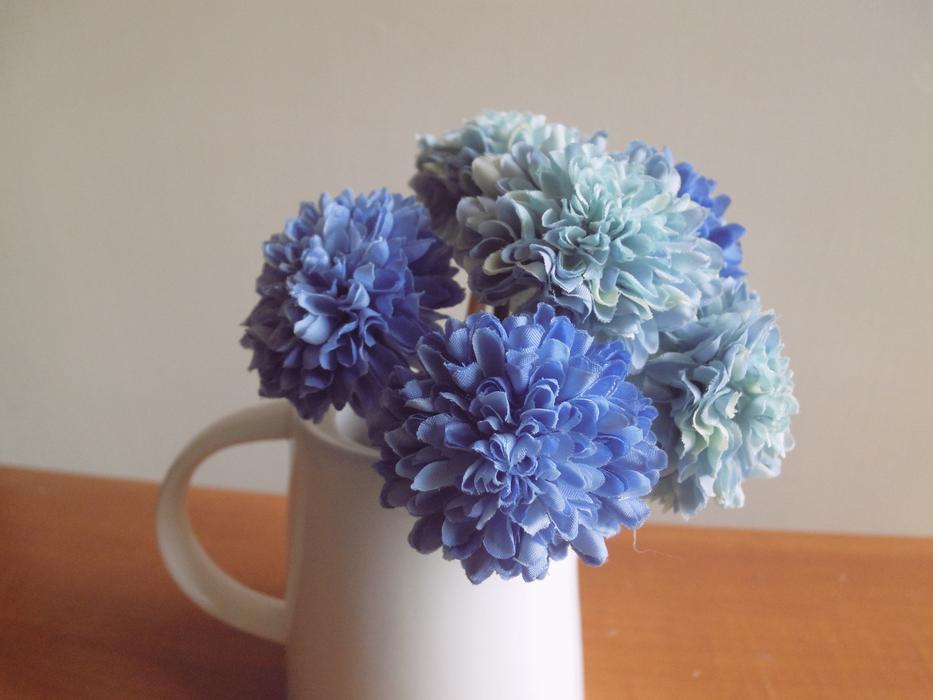 Flower Blossom Bloom