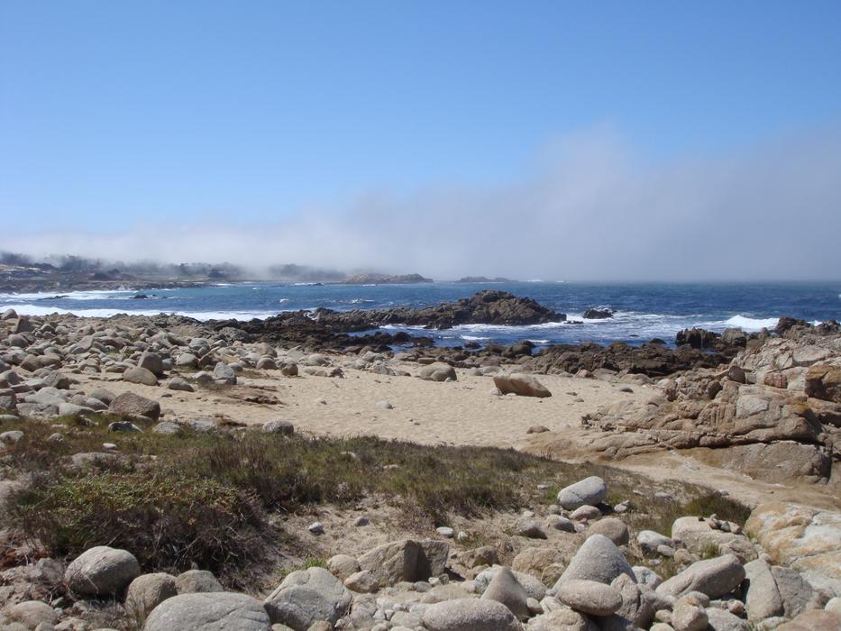 stone wild beach on the sea