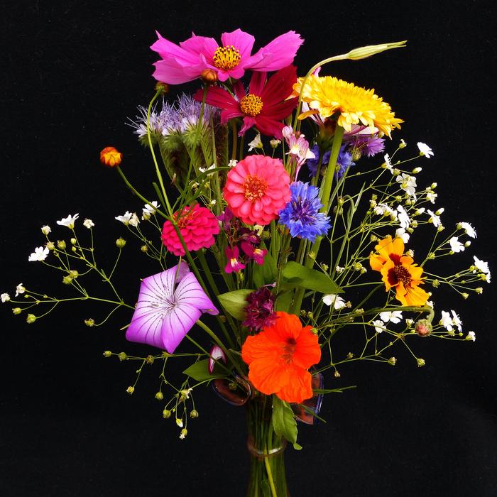 bouquet of colored flowers in a vase