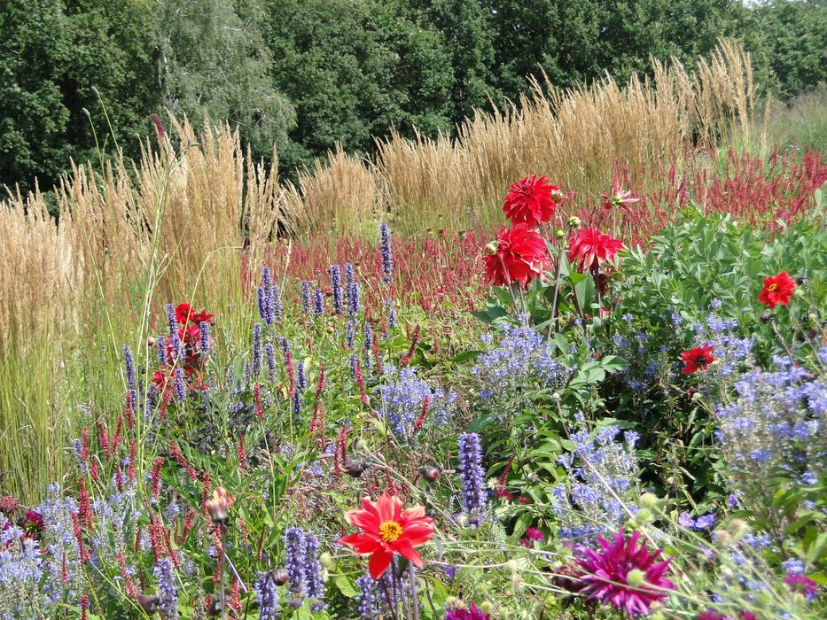 Flowers Field Sundry