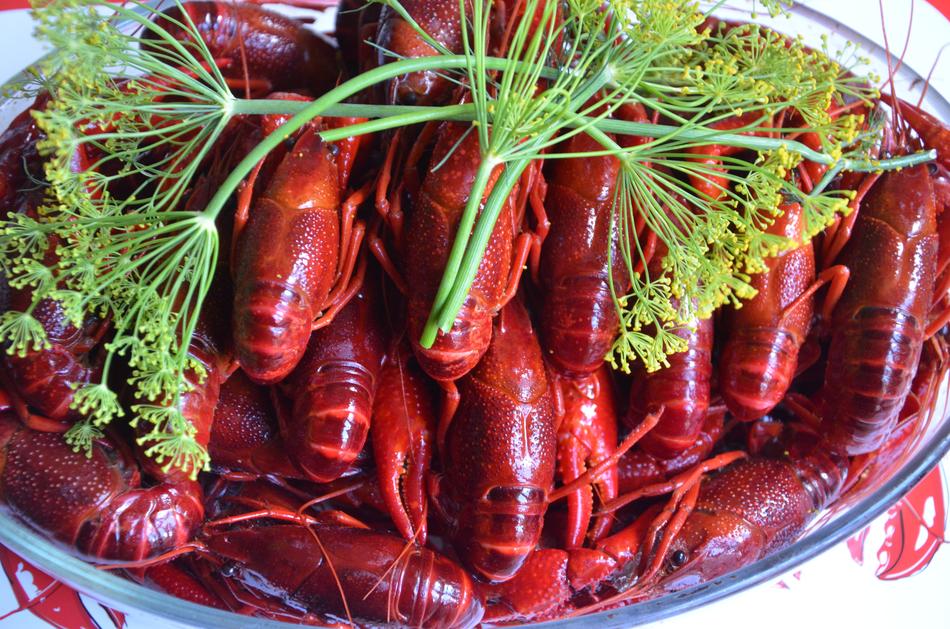 Boiled crabs with dill