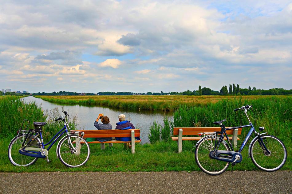 bicycles parked by the bench