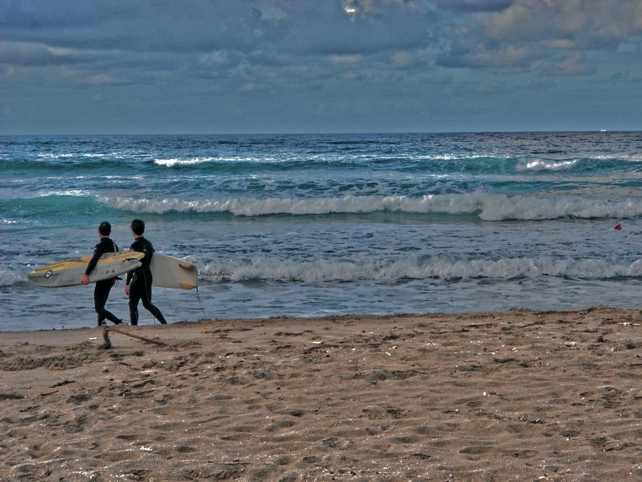 surfers by the sea