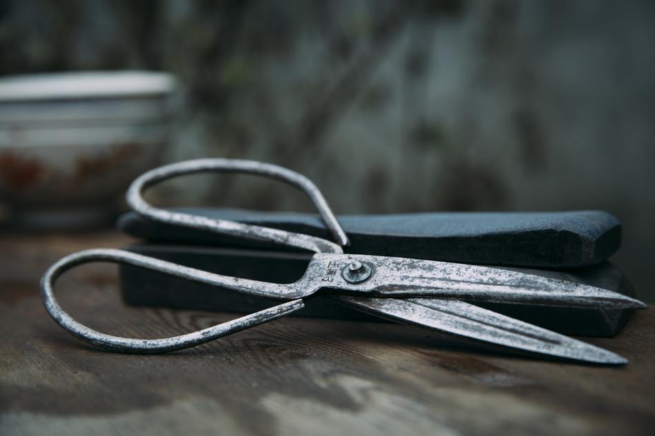 Scissors Still Life Photography