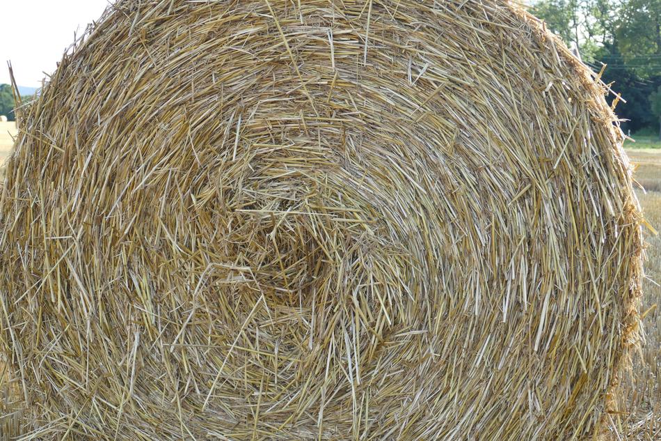 Close Up Hay Bales Arable