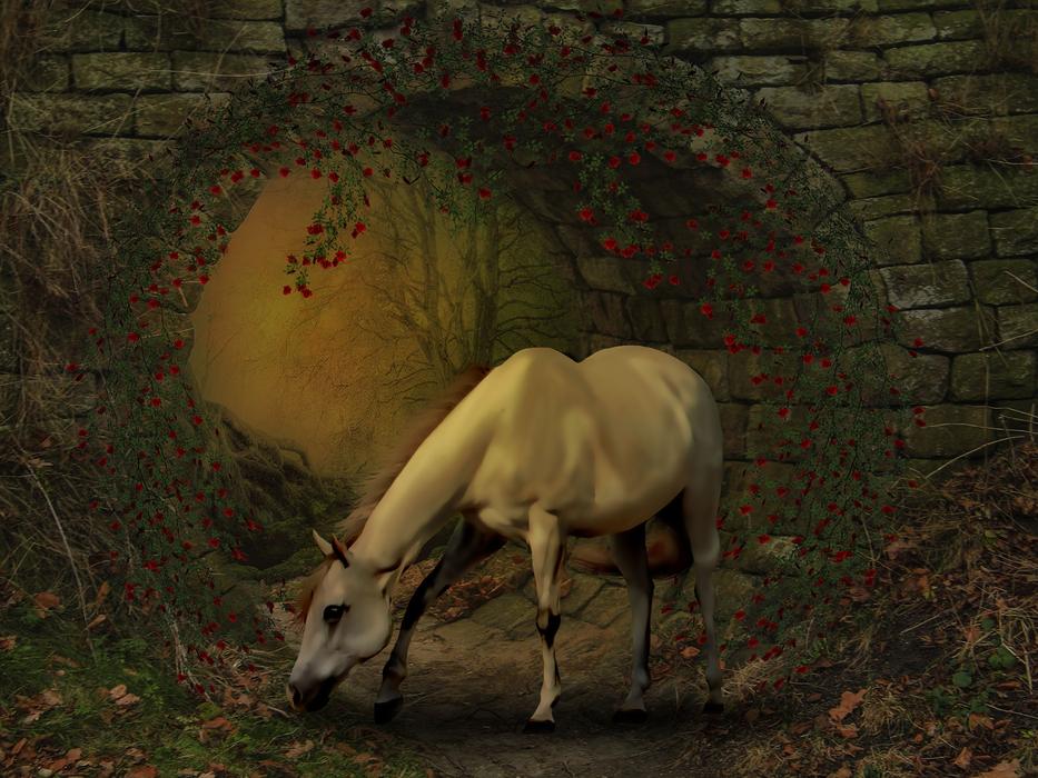 white horse near the tunnel