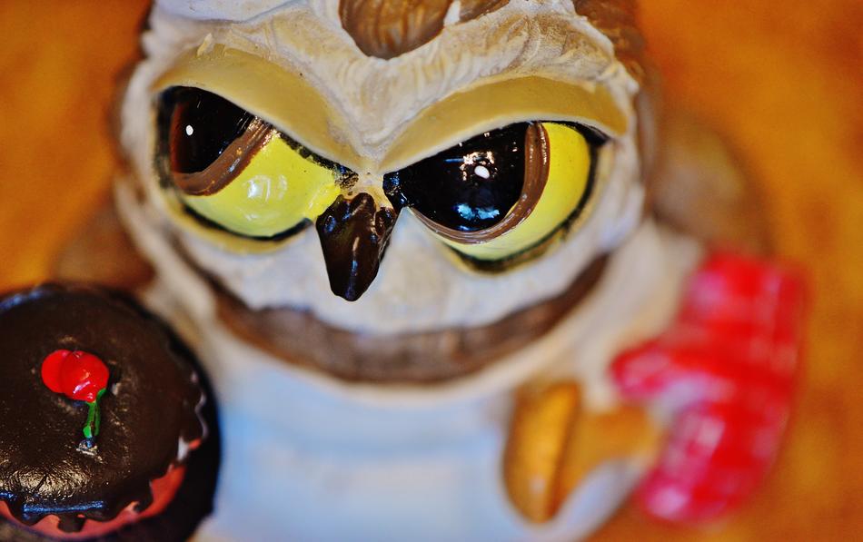 Owl Bake Baker