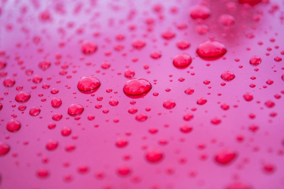 raindrops on the pink roof