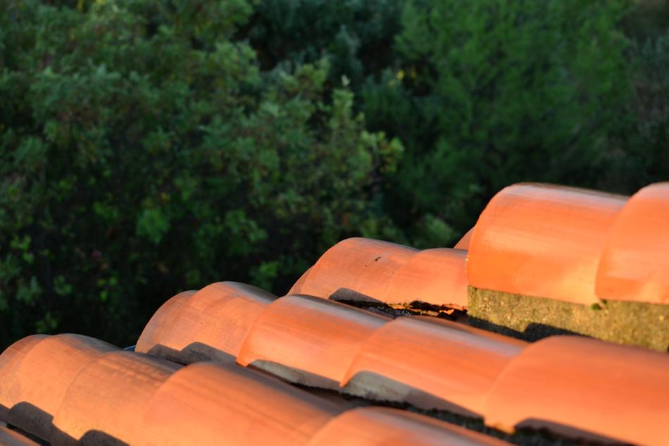 Close up of the roof against a background of trees