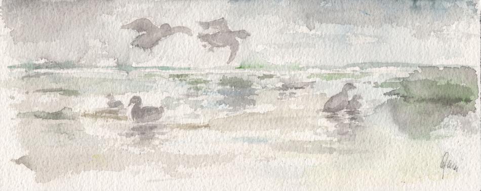Watercolor picture with ducks