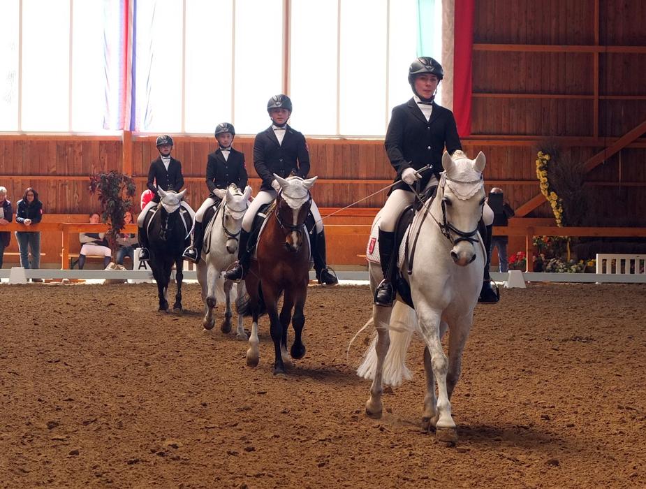 people on horses