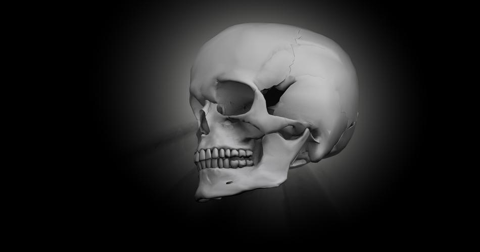skull bone head skeleton 3d model