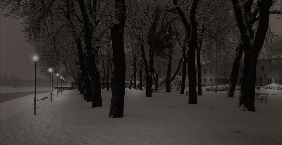 snow park at night
