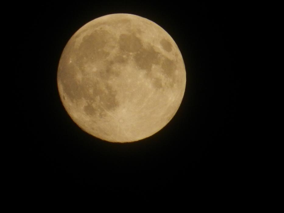 yellow evening moon