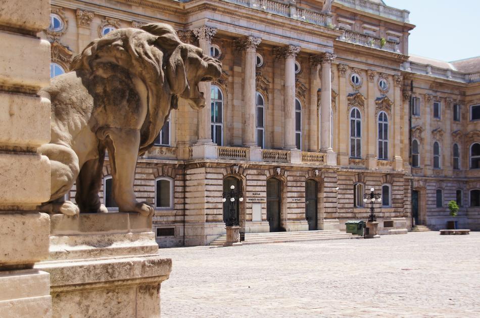 lion sculpture in front of the building