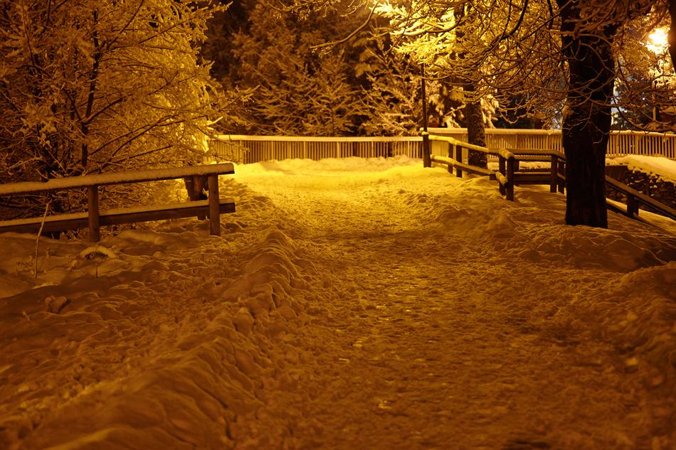 snowy beautiful park evening