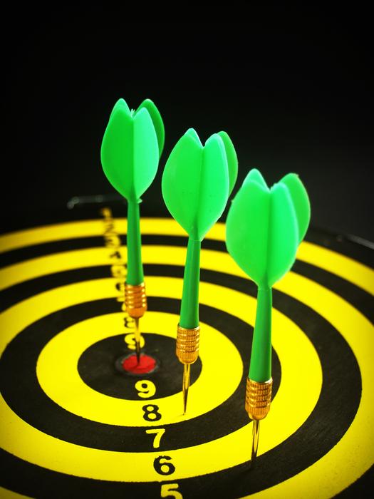 Target Goal Aiming