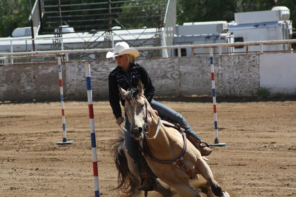 rider on a horse in the arena