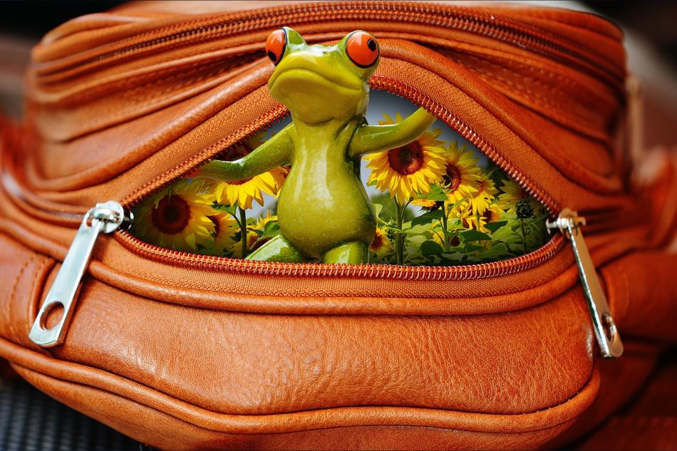 figurine of a frog in a purse