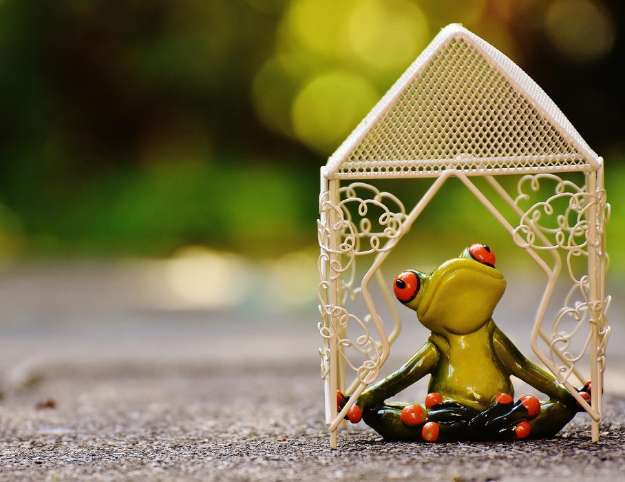 Toad figure in the house