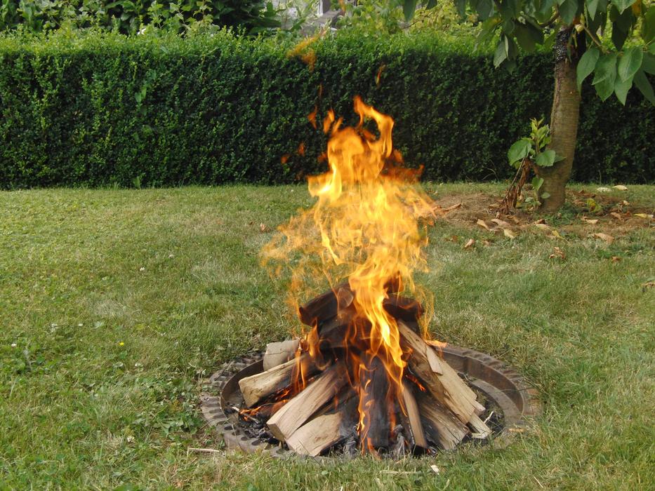 burning fire on the green grass
