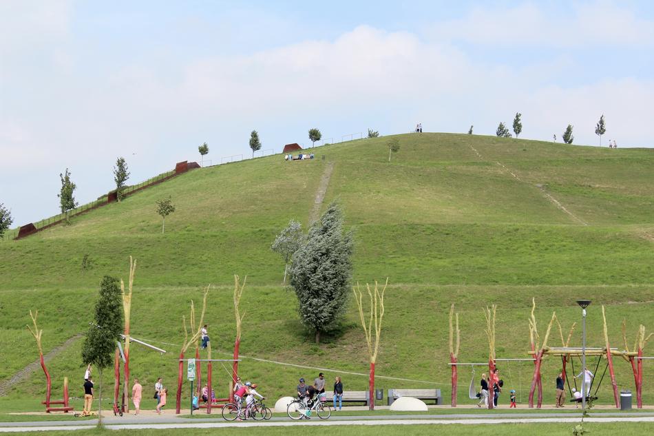 tree in the field game