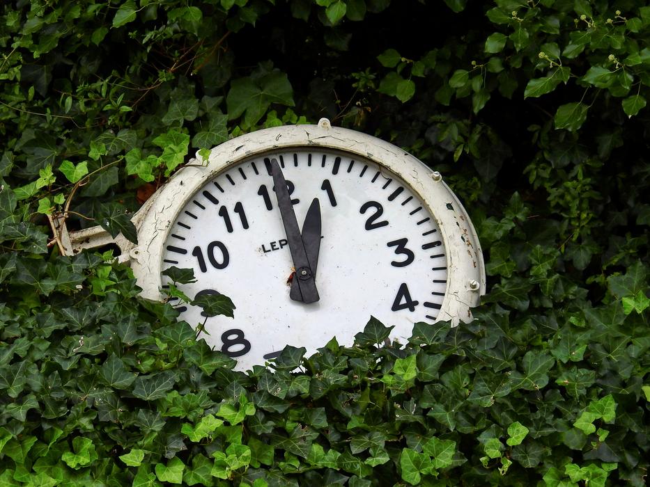 hours forgotten in the foliage