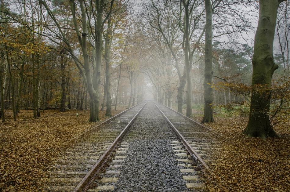 beautiful fall view of the railroad with fog