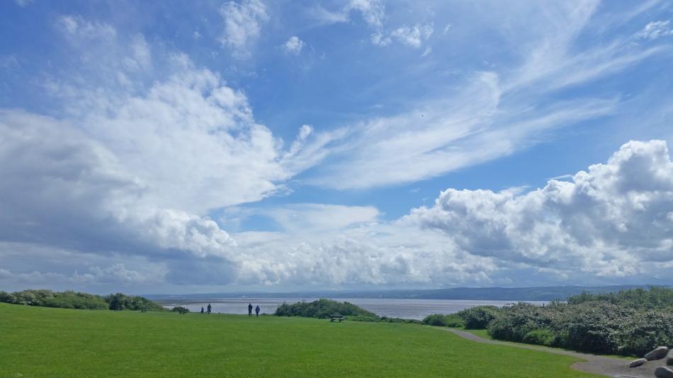 white sky over a green field
