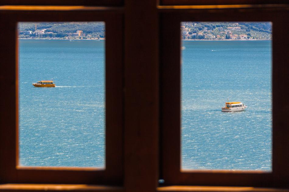 windows overlooking the sea with snags