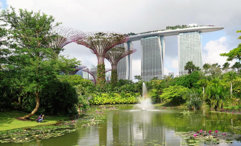 fantastic buildings and trees