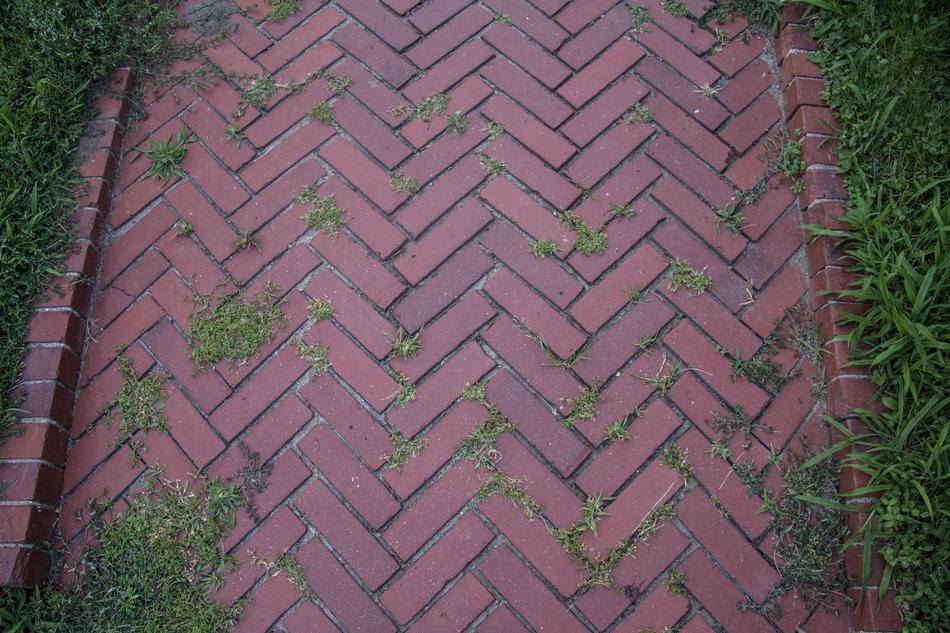 Road Bricks Grass