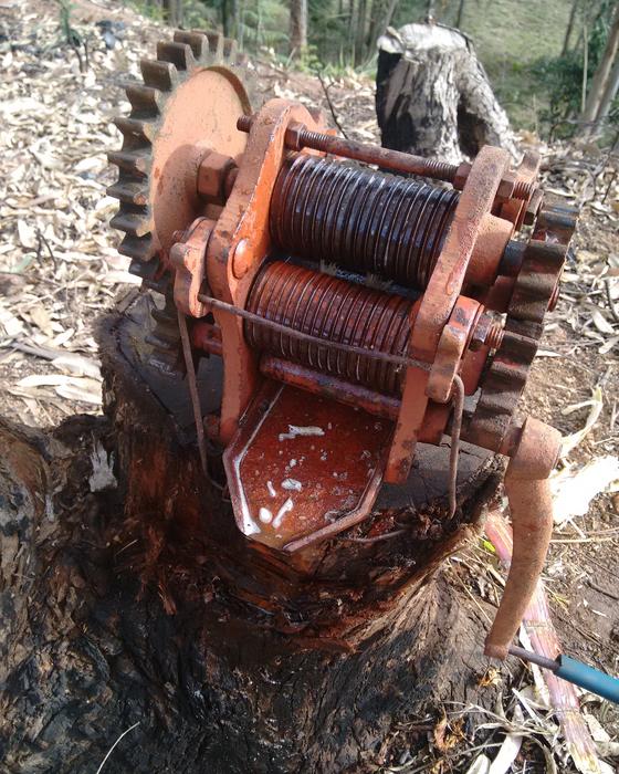 Cane Grinder Antique Memory