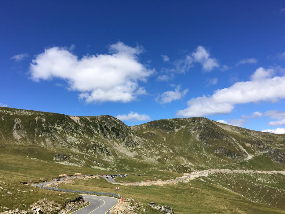 Nature Beauty Green