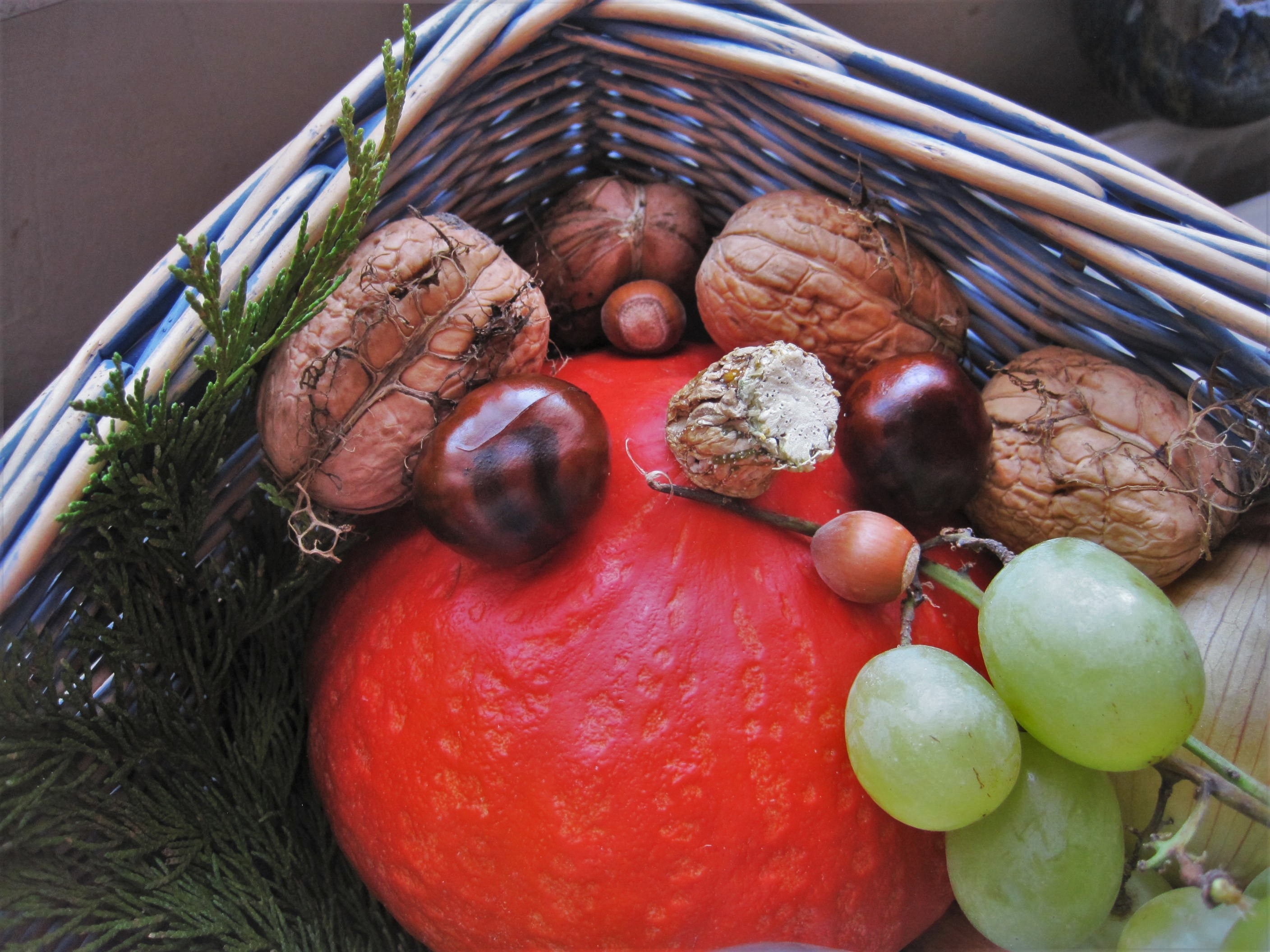 Autumn Basket Fruits free image download