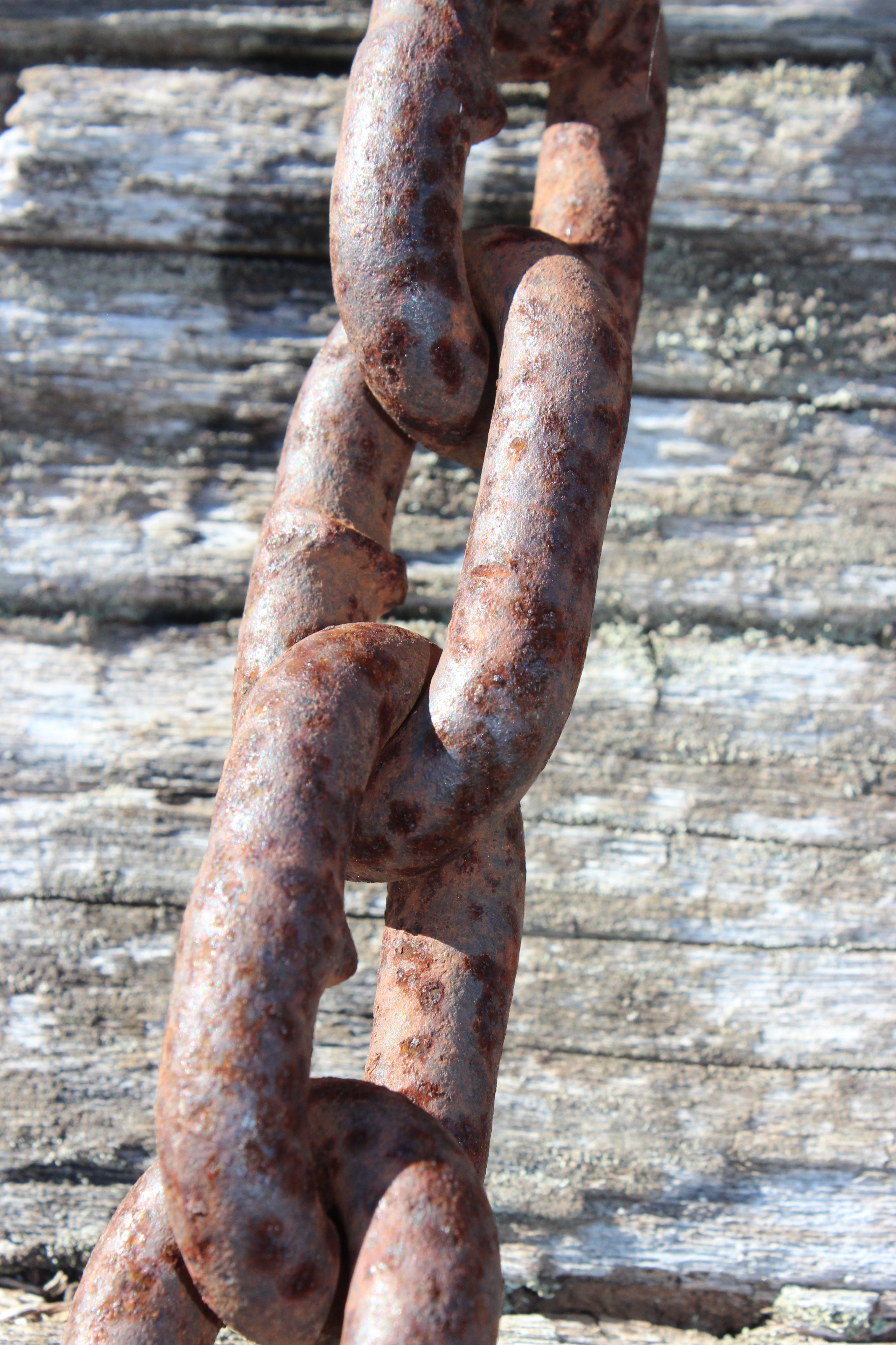 Link rust. Ржавая цепь. Ржавая привязочная цепь. Ржавчина на цепочке. Ржавый цепь крупным планом.