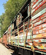 colored wooden wagon in the forest