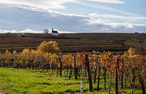 Autumn Landscape Chapel