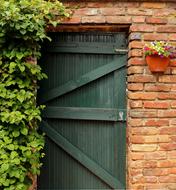 green wooden door in the building
