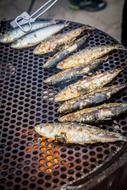 grilled fish with spices