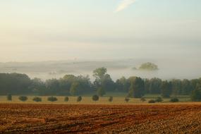 Landscape Fog Nature