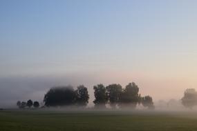 Fog Landscape Nature