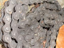 Bike Chain