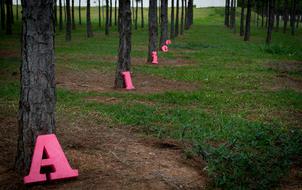 letters park pink grass