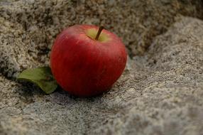 red apple one